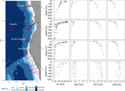 High Diazotrophic Diversity but Low N2 Fixation Activity in the Northern Benguela Upwelling System Confirming the Enigma of Nitrogen Fixation in Oxygen Minimum Zone Waters